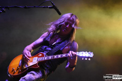The Dead Daisies