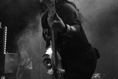 The Iron Maidens