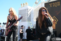 The Iron Maidens