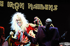 The Iron Maidens