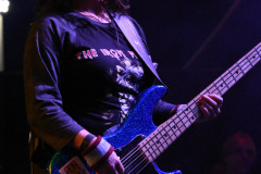 The Iron Maidens