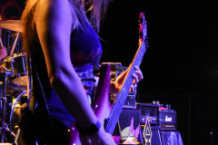 The Iron Maidens