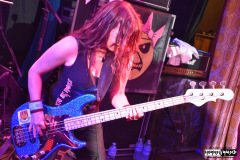 The Iron Maidens