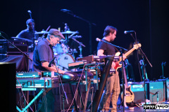 The Motels