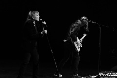 The Motels