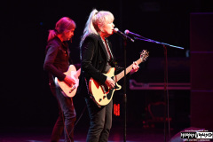 The Motels