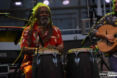 The Skatalites