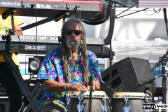 The Skatalites