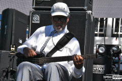 The Skatalites