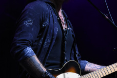 The Winery Dogs
