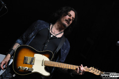 The Winery Dogs