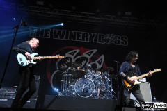 The Winery Dogs