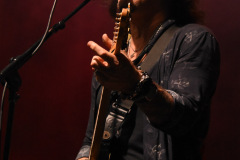 The Winery Dogs