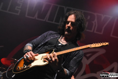 The Winery Dogs