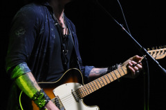 The Winery Dogs