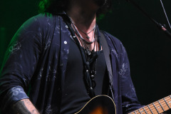 The Winery Dogs