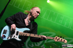 The Winery Dogs