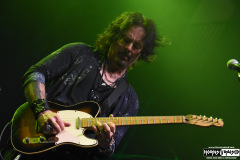 The Winery Dogs