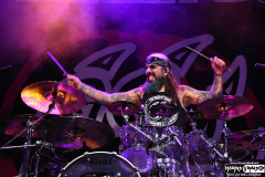 The Winery Dogs