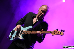 The Winery Dogs