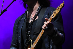 The Winery Dogs