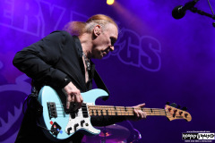 The Winery Dogs