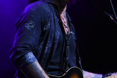 The Winery Dogs