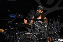 The Winery Dogs