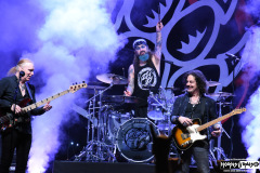 The Winery Dogs