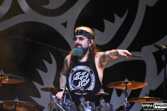 The Winery Dogs