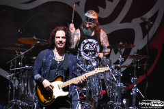 The Winery Dogs
