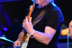 The Zombies