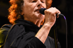 The Zombies