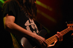 The Band Royale