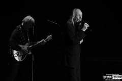 Three Dog Night
