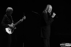 Three Dog Night