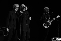Three Dog Night