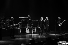 Three Dog Night