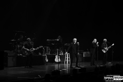 Three Dog Night
