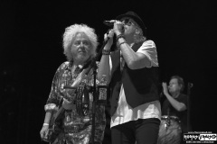 Toto | August 1, 2026