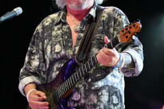 Toto | August 1, 2026