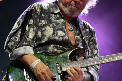 Toto | August 1, 2026