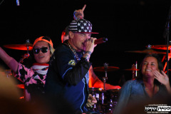 Vanilla Ice
