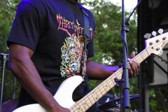 Vein.FM