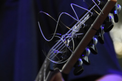 Vein.FM