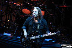 Winger