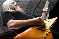 Y&T