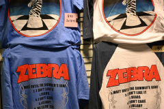Zebra