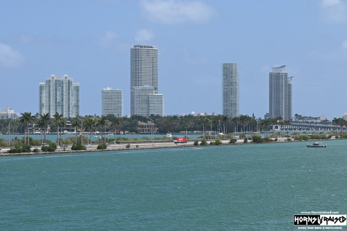 Miami skyline