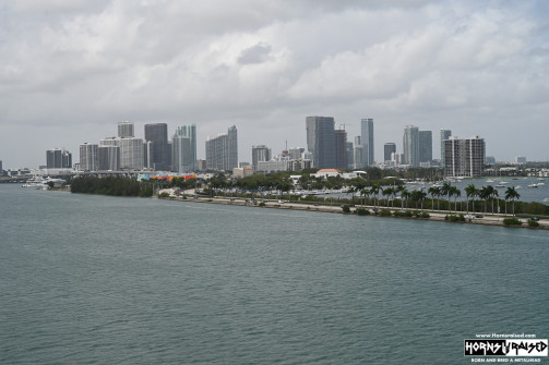 Miami skyline